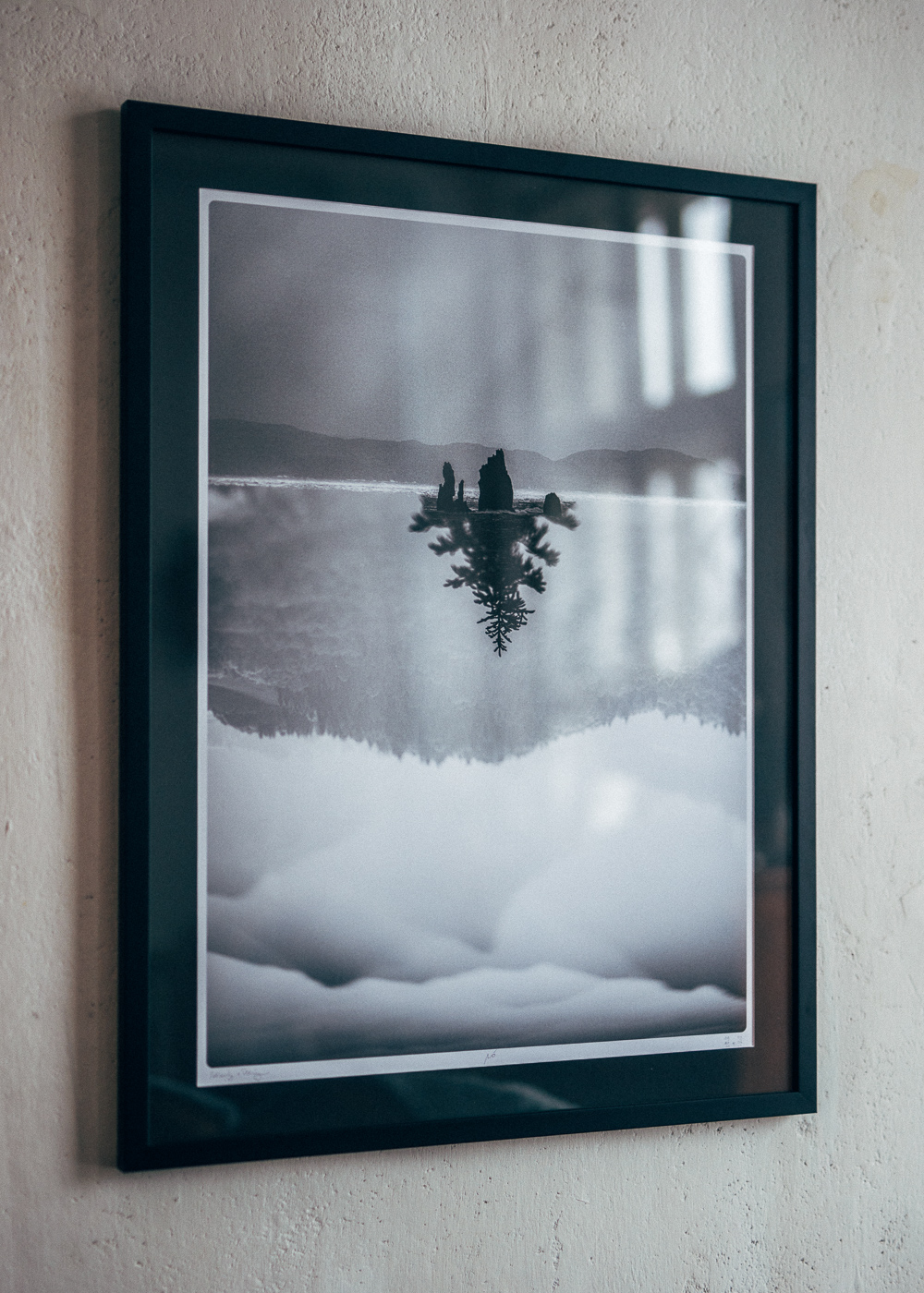 Algae - odbitka fine-art Szetlandy+Orkady