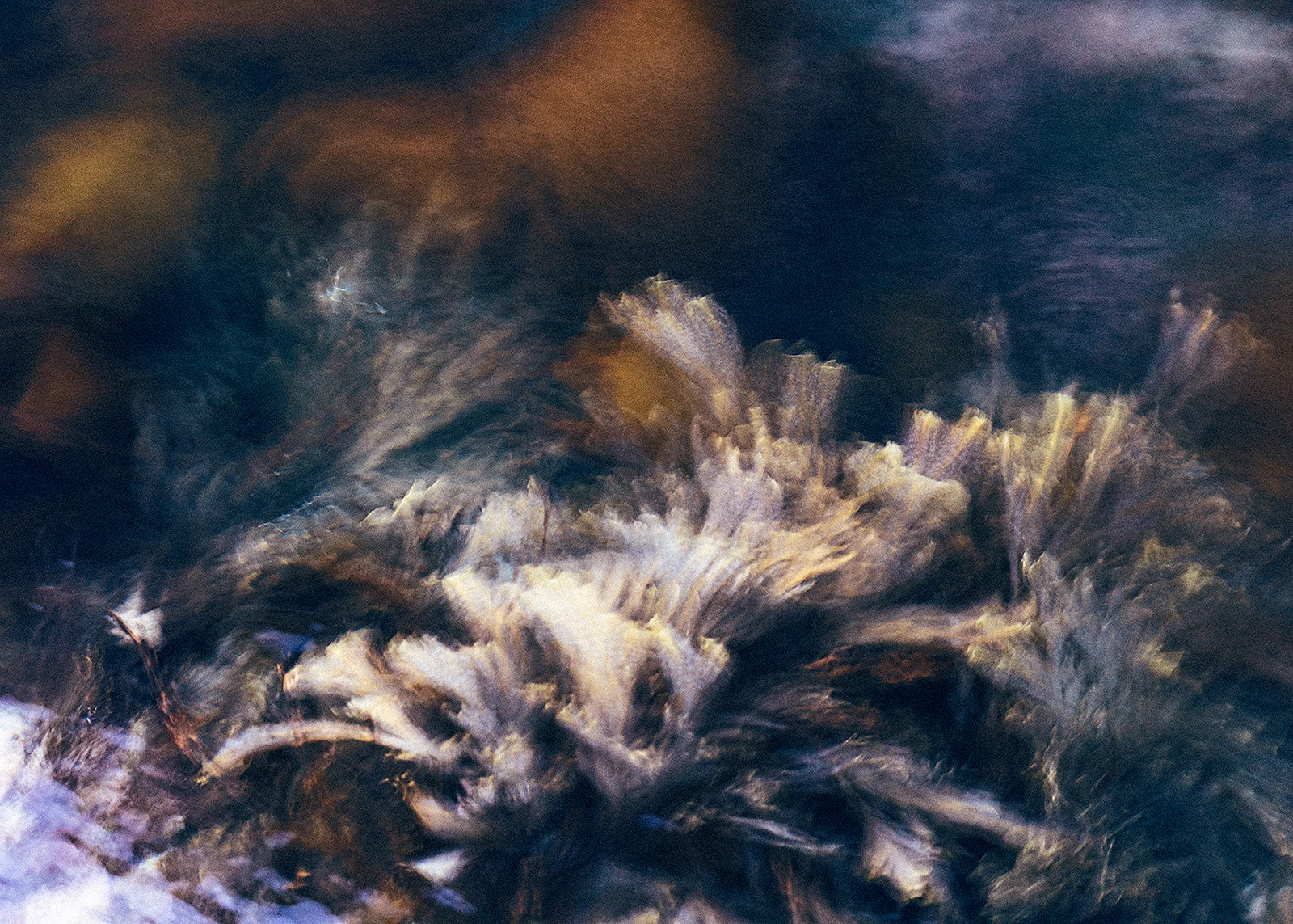 Paradoks wody Paradoks wody