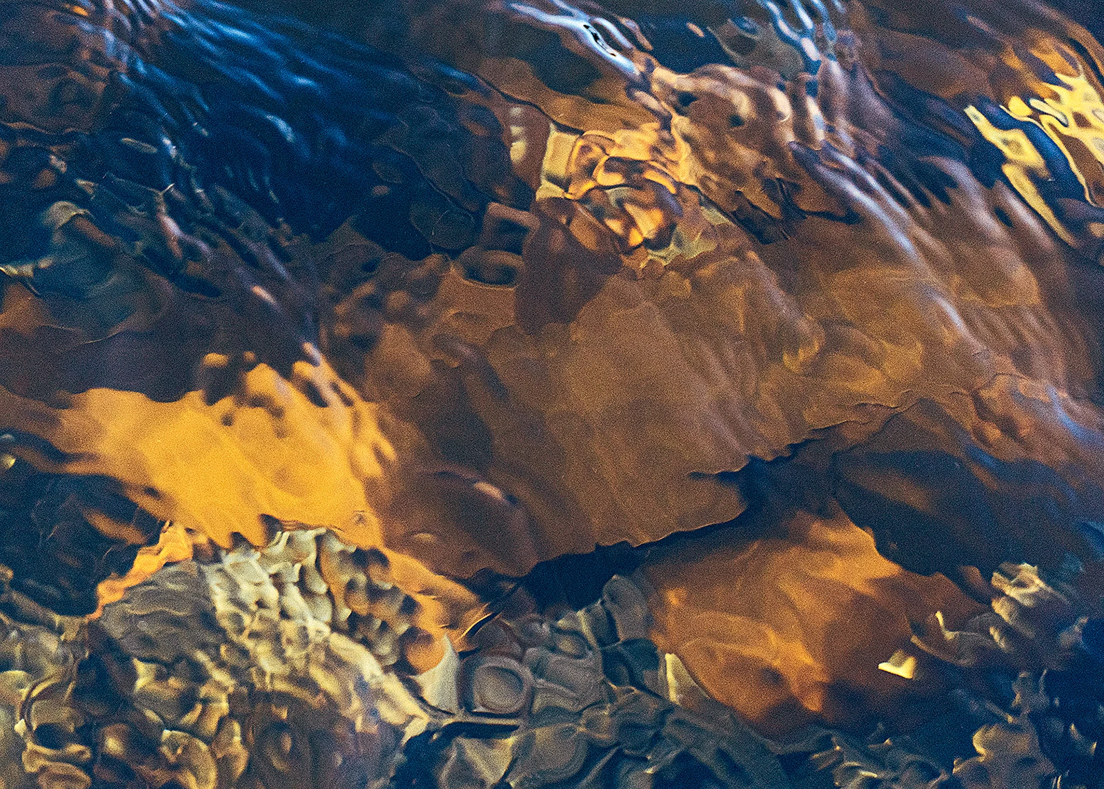 Paradoks wody Paradoks wody