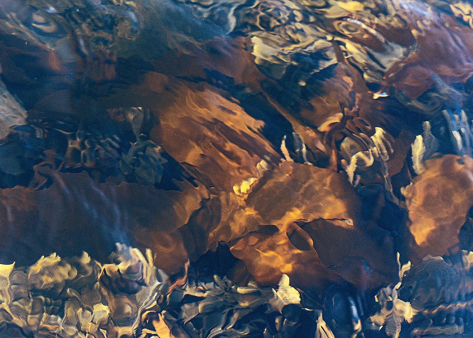 Paradoks wody Paradoks wody